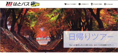 【格安旅行】富士山と河口湖の紅葉を観に行ってきた（楽しめる旅行の行き方）【お得プランの紹介】